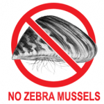 No Zebra Mussels